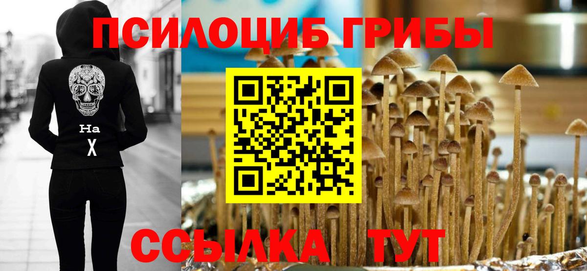 Псилоцибиновые грибы Magic Shrooms Кировск